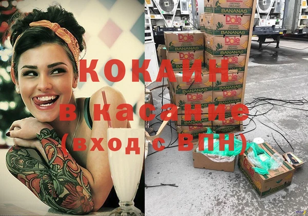 индика Нея