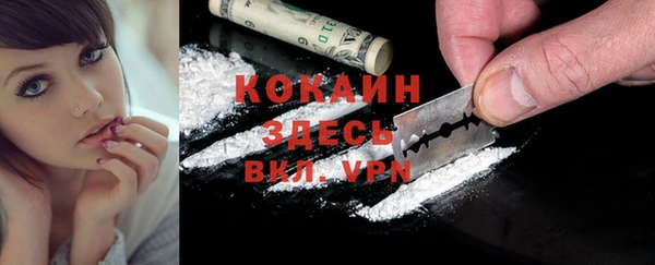 индика Нея