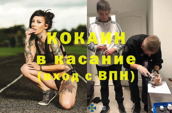 шишки Надым