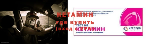 индика Нея