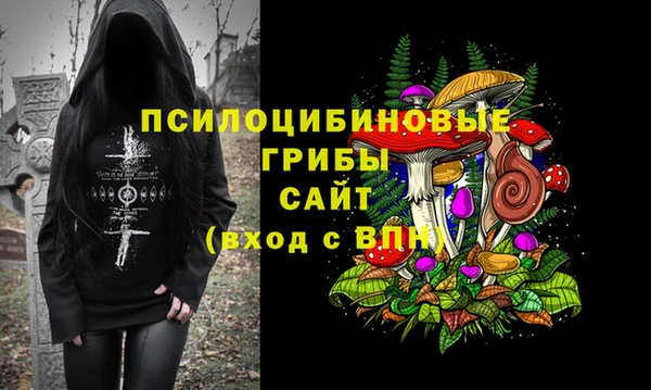крисы Нефтекумск