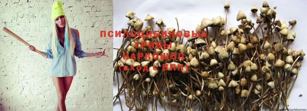 индика Нея