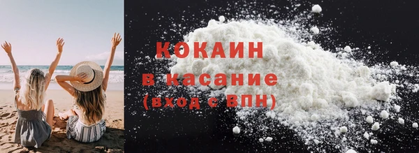 индика Нея
