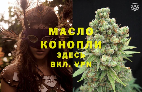 индика Нея
