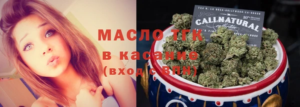 индика Нея